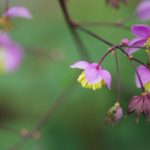 国产福利一区二区精品 53h7sxboh7