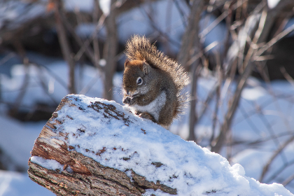 日本伦理在线 日本伦理在线