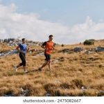 日本免费不卡视频一本 h794h3na