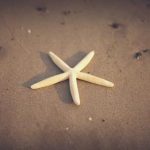 动漫精品中文字幕一区 n7x0k0bk2