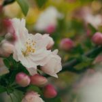 国产精品k频道在线观看 xaueyyrwn